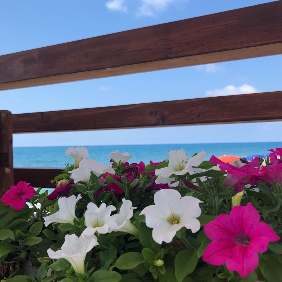 Fiori, mare, cielo: ingredienti di una mia ricetta della bellezza. [📷 mia]