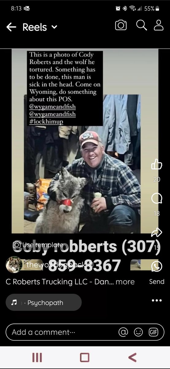 🤬🤬. Ok Twitter. This 'hunter' captured a wild wolf, taped it's mouth shut and tortured it. His name and phone number are below. Please, please RETWEET 🤬🤬