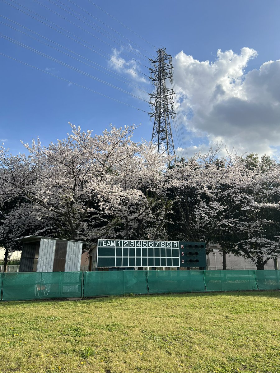久しぶりの母校へ👩‍🎓
桜もとっても綺麗でした🌸

#埼玉栄
#埼玉栄ソフト部