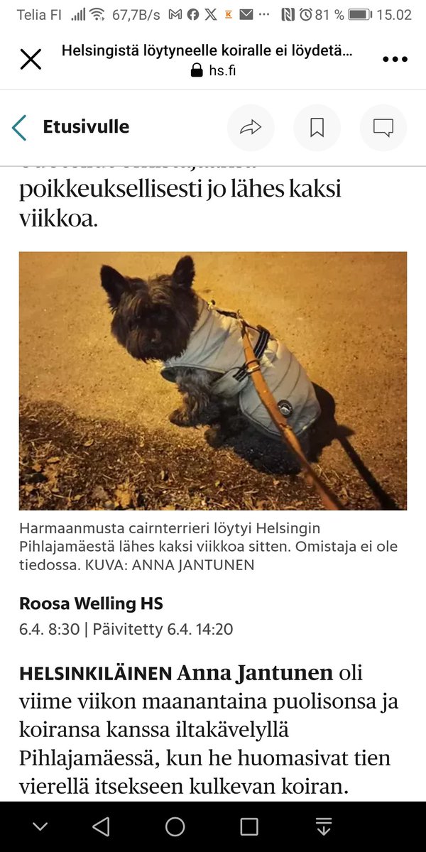 Dog found in Helsinki, Finland monday the 25th of March 2024. Where is the owner? Was the owner a tourist or was this dog stolen? Microchipped and well cared.
. 
#cairn #terrier #dogfound #Helsinki #runawaydog #microchipped