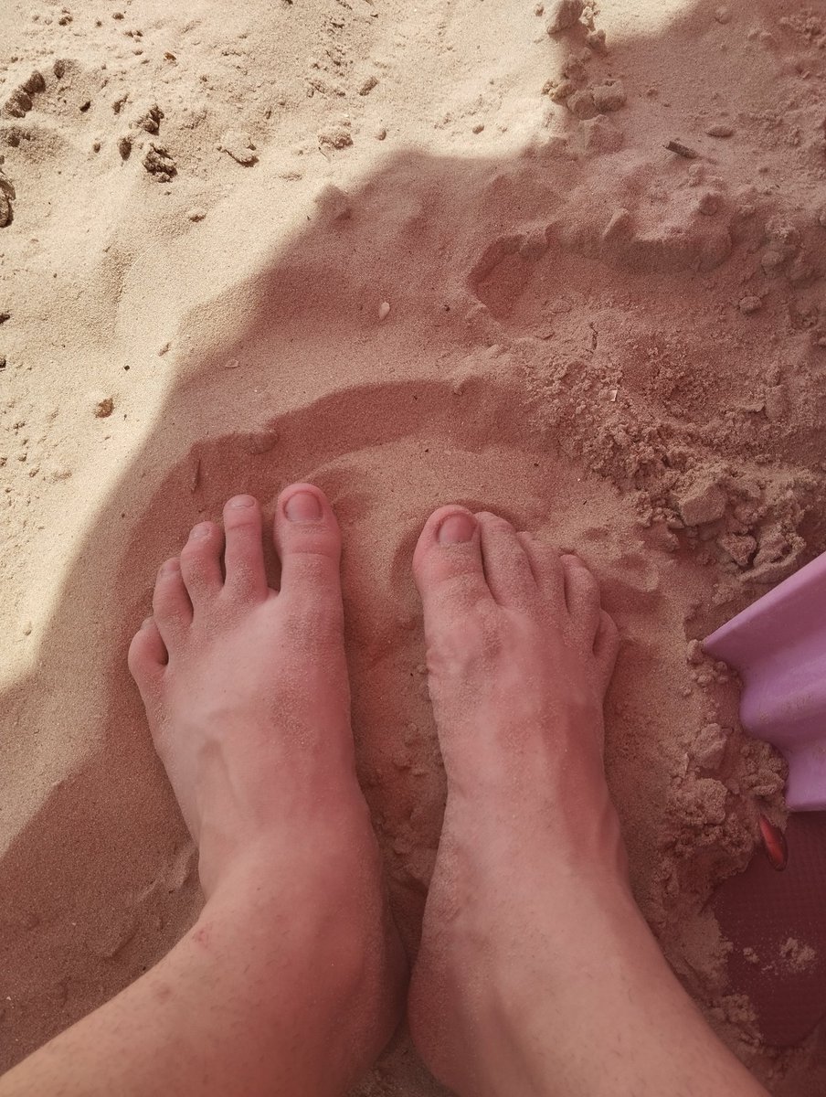 packericky's tweet image. Bom dia