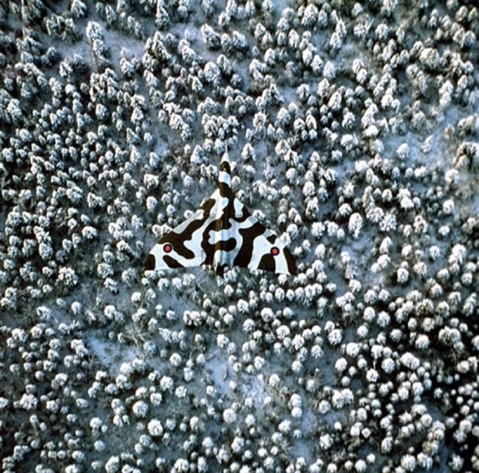 Incredible image from 1978 of an Avro Vulcan B.2 during the testing of a new camouflage scheme.