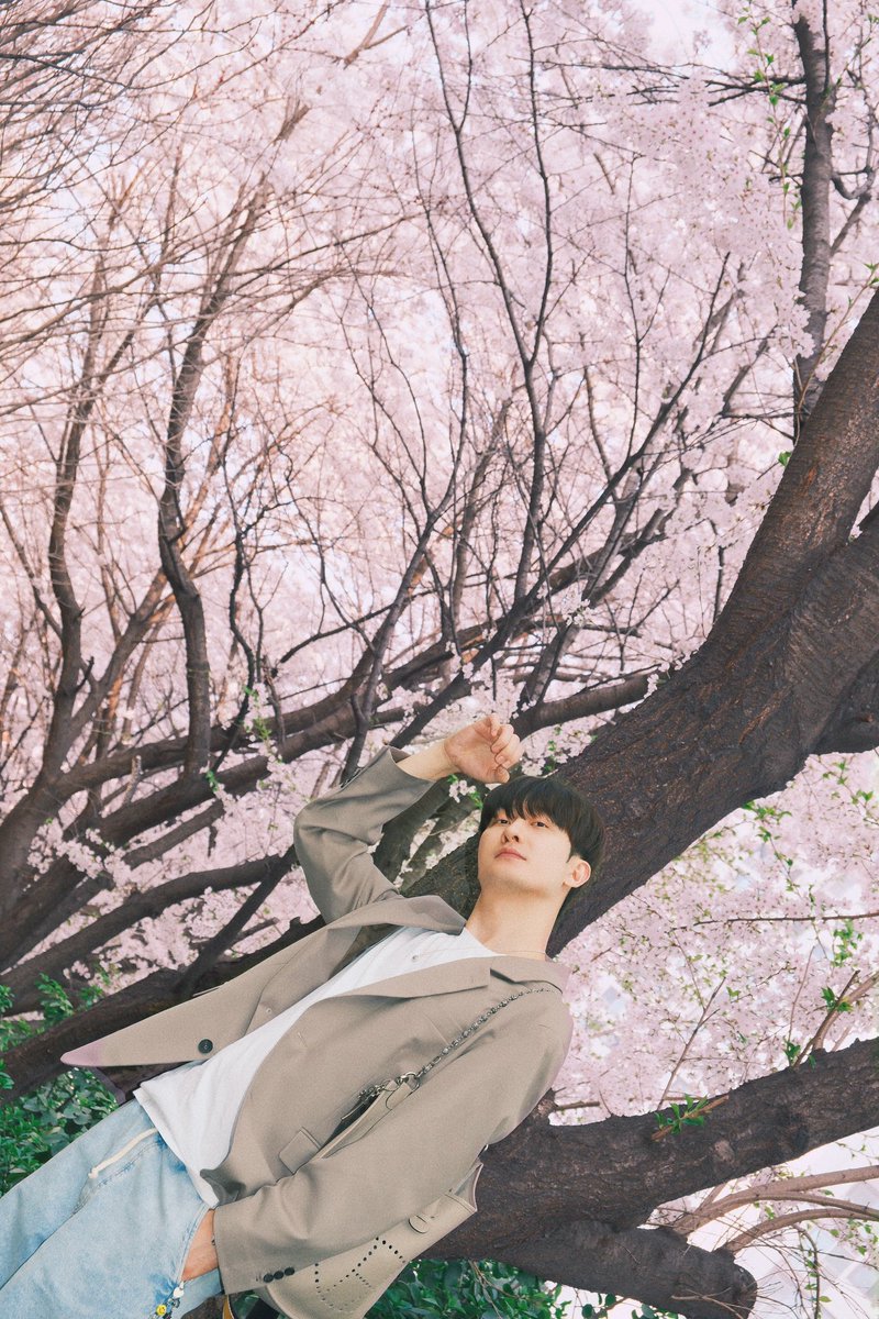 zhoumi_419's tweet photo. 🌸🌸🌸

#周觅
#Zhoumi
#조미 https://t.co/PQXtmw3pdL