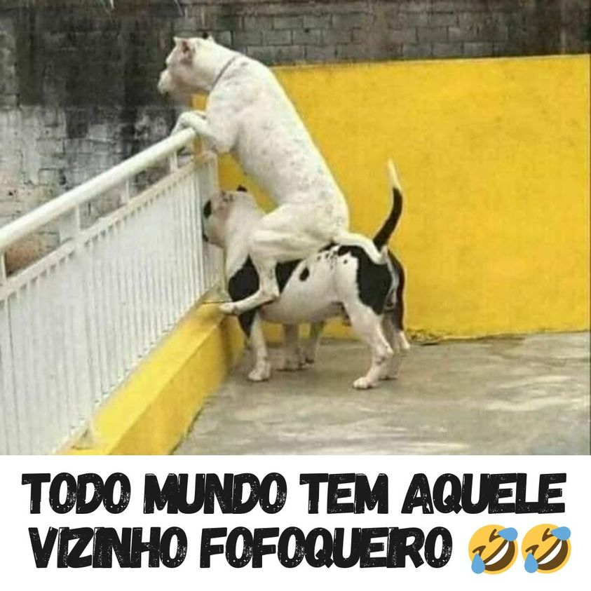 GeraldaFanin's tweet photo. https://t.co/4VIDgfLq37