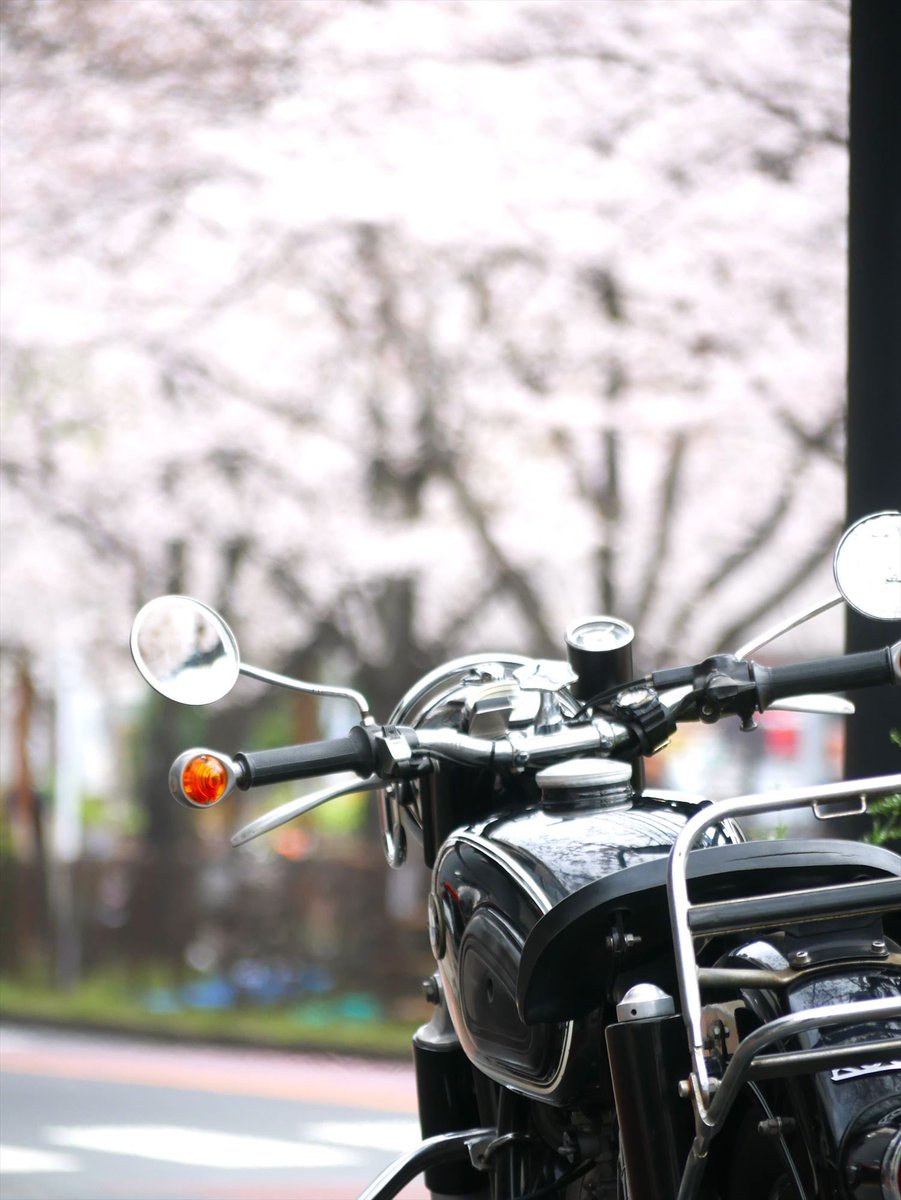 sr_raionmaru's tweet photo. R69Sと2回目の春🌸
#1周年
#春満開
#bmwr69s
#r69s
#ミュンヘナー
#Myunhener
#münchener
#アールズフォーク
#キック始動
#60年代
#nostalgicmotorcycle
#エモいバイク
#Earlesfork
#Kickstart
#60s
#nostalgicbike
#classicbike https://t.co/lKrMPeIMpm