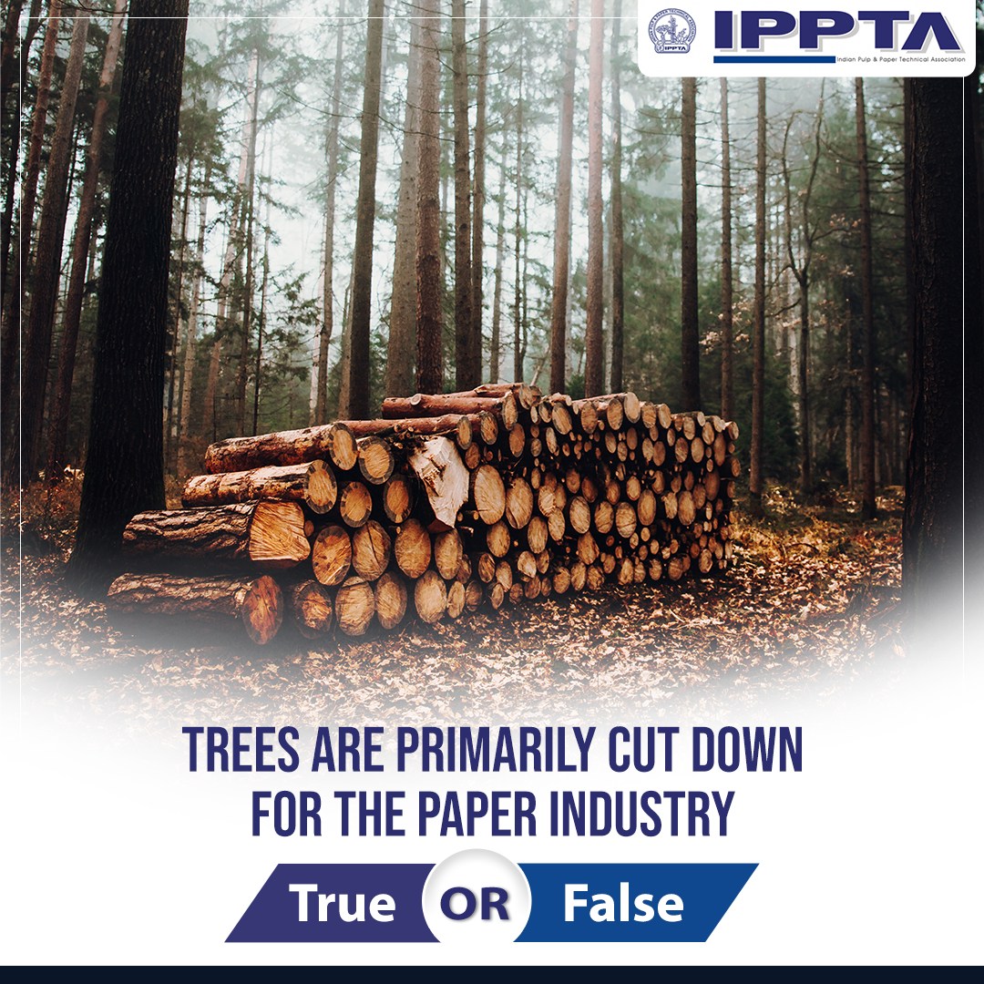 Are trees primarily cut down for the paper industry? Join the debate and share your thoughts on this common misconception!
#IPPTA #Paper #ChoosePaper #PaperFacts #PaperStory #SustainableChoices #PaperIsGreen #UsePaper #SayYesToPaper #RecycledPaper #EcoFrienlyChoice #PaperOrigins