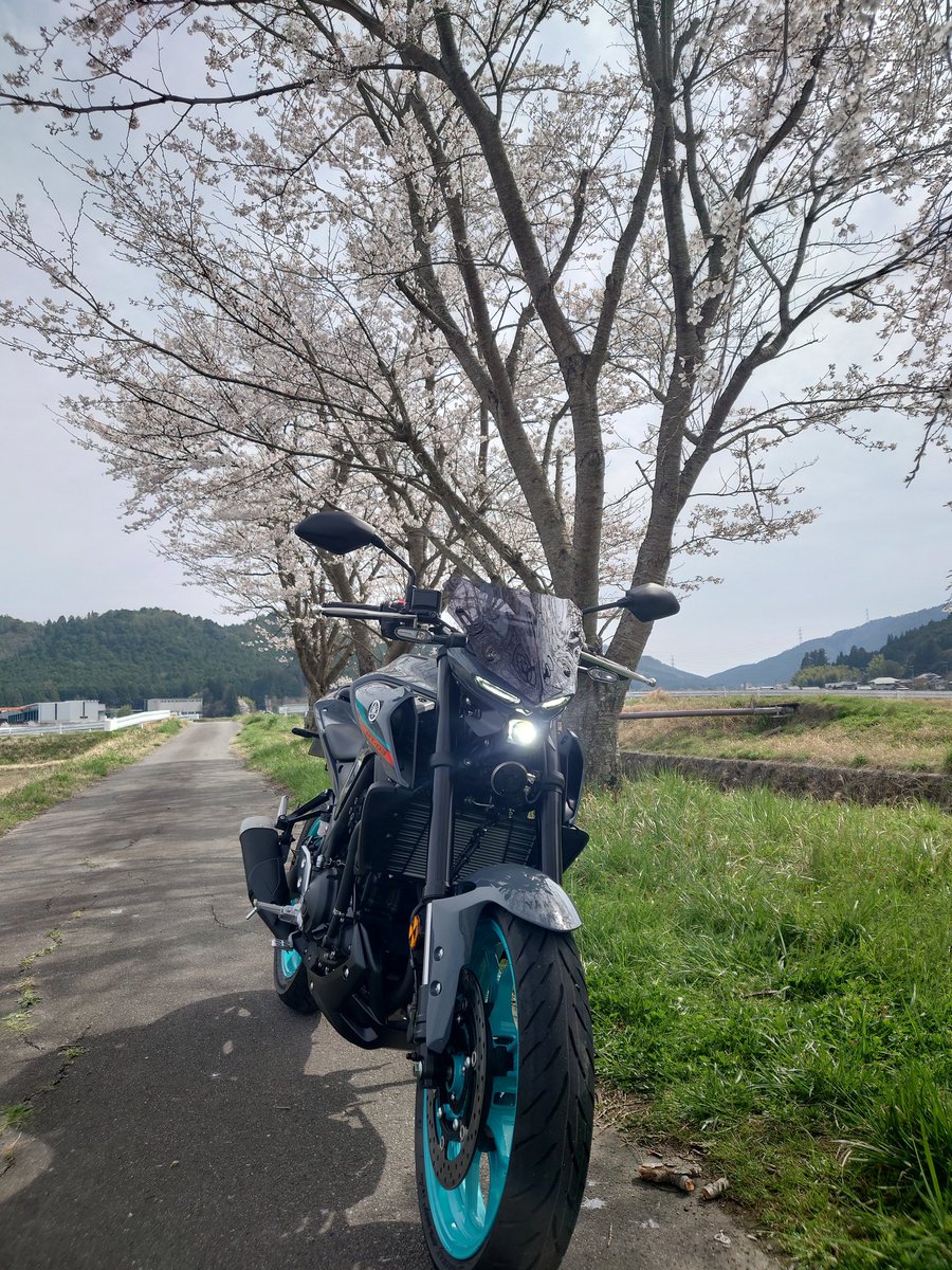 HTaishu's tweet photo. MT-125が気になってたはずが、何故かMT-03買ってました。#YAMAHA https://t.co/tIhuNTODAJ