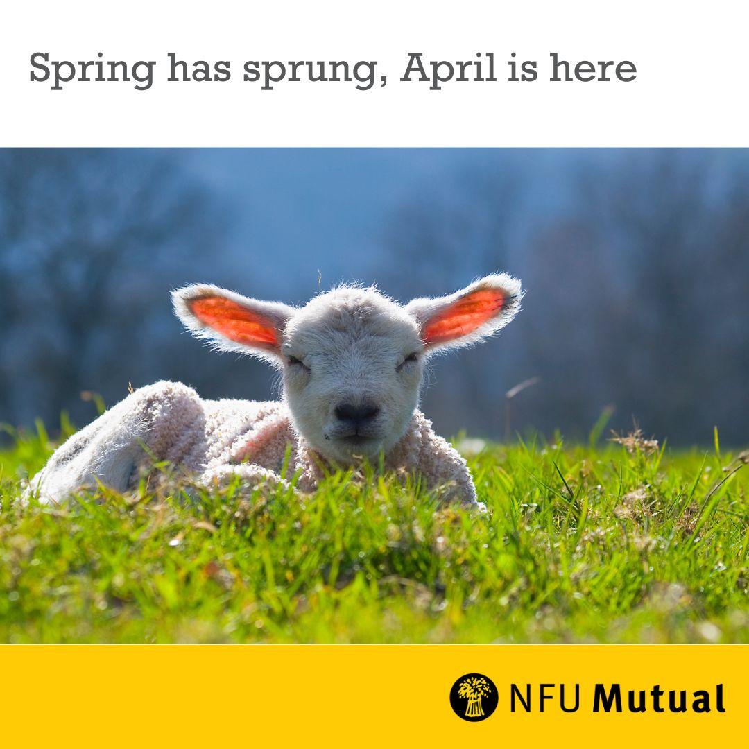 Spring is the time of plans and projects!

What plans and projects have you set out for the lighter brighter days? 🌞 🌷 

#spring #linconlshire #nfumutual