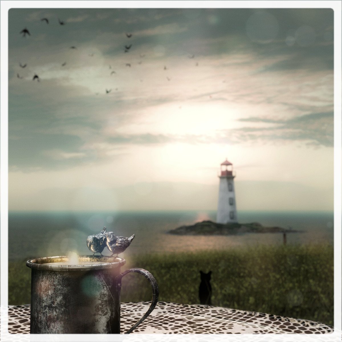 Bella's Lullaby #SecondLife maps.secondlife.com/secondlife/For…