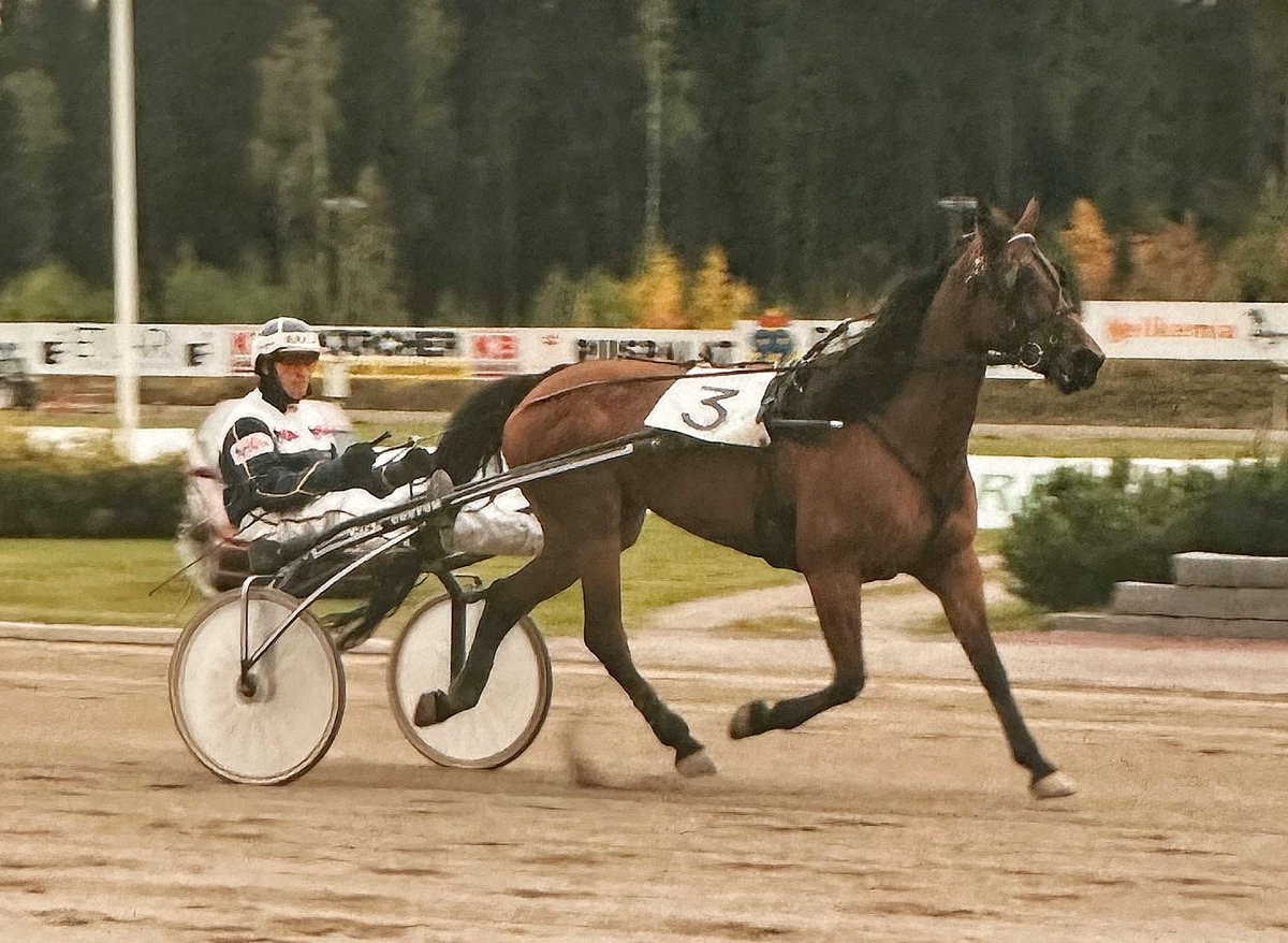 Pandora Bag oli huipputamma 1990-luvulla. Olen kuvannut Pandora Bagin ja Harri Koivusen Lahden Jokimaalla 24.9.1995. #ravit