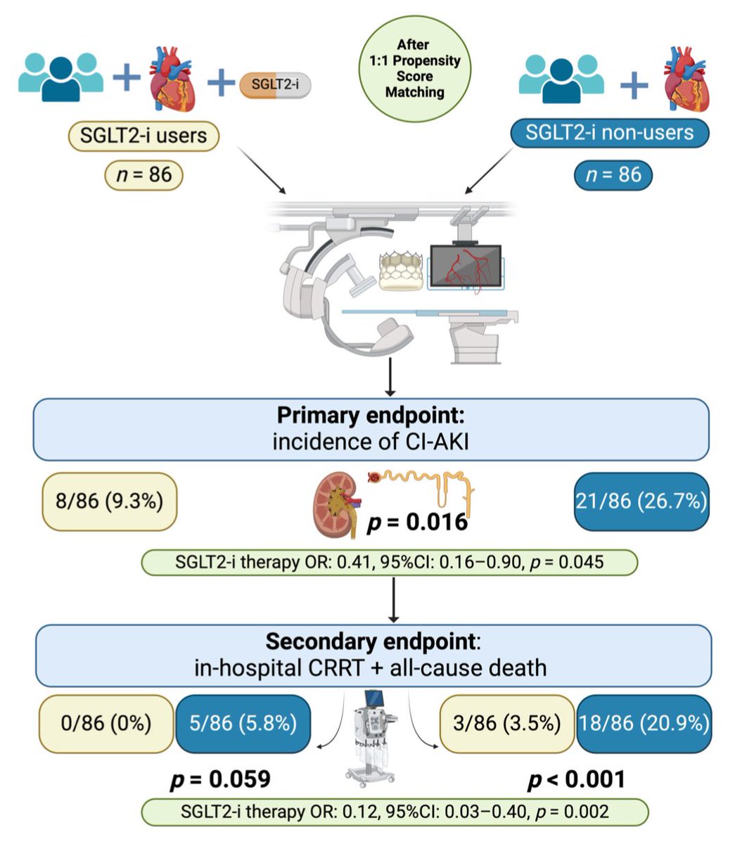 nephroprotective effect of SGLT2 inhibitors might be mediated by natriuresis and glucose-induced osmotic diuresis, leading to a reduction in intraglomerular pressure and exposure time of each nephron to contrast agent direct toxicity mdpi.com/2077-0383/13/7…