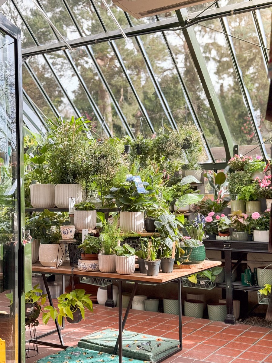 Now is the perfect time to freshen up your garden for spring and summer or to bring a touch of greenery into your home, why not stop by our Kilmac and Dunboyne nurseries offering a selections of plants, shrubs, bulbs and more! #AvocaIreland #GardenRooms #Kilmac #Dunboyne