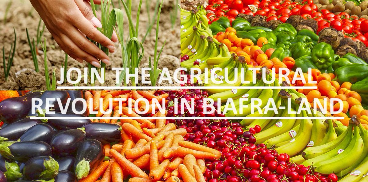 Join The Agricultural Revolution In BIAFRALAND now.
#BiafraReferendumNow 
@IgboHistoFacts @iluigbo_