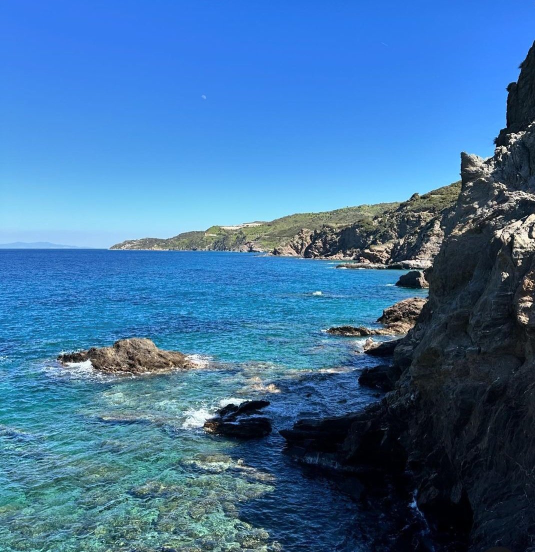 Öyle bir havada gel ki vazgeçmek mümkün olmasın demiş Orhan Veli.. Öyle bir hava şimdi, Hem bahar, Hem de nisan, Hem sevgi Hem insan Toprak kokuyor her yan Bir bilsen... Tünaydın ☀️🌼🌊