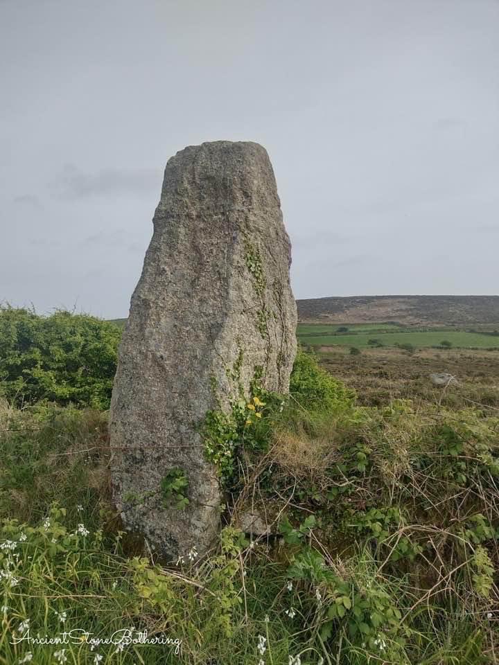 The Wheal Buller Menhir, Penwith, Cornwall. It stands about 11 feet tall and was re-erected in the 1980s.
#ancientstonebothering 
#StandingStoneSunday 
⁦@megportal⁩