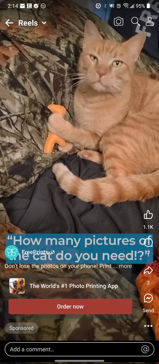 Look at this ad i just saw on Facebook reels. Notice what the cat is holding?? That's one of my dino nugget toys!! 😱 i wonder who's cat this is