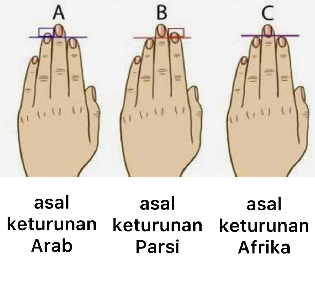 Paman Muda tweet media