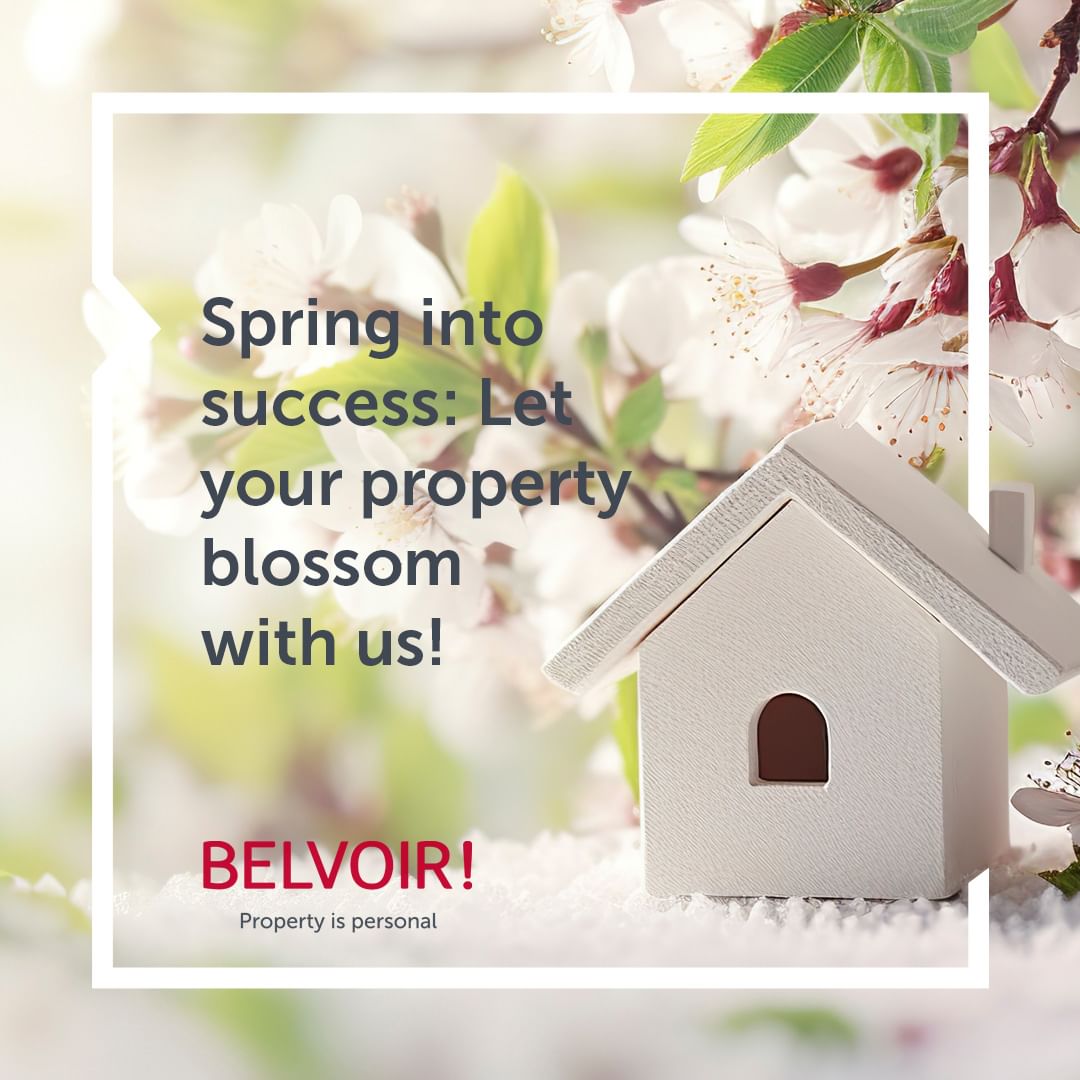 If you are looking to SELL, BUY, LET or RENT a property in Ipswich or the surrounding villages, you have found the RIGHT estate agent with Belvoir Ipswich 🥰
🏡🏡🏡

 #EstateAgent #LettingAgent #Ipswich #Suffolk #Itfc #Kesgrave #Ravenswood #Martlesham #Woodbridge #Chantry