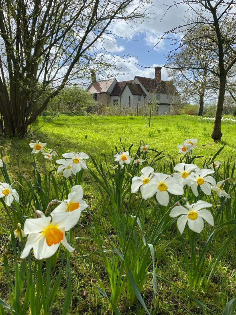 It’s our big open gardens day here at Columbine Hall, Suffolk IP14 4AT on Sunday April 21st 1-5pm all in aid of @StElizabethHosp. They’ll be plants for sale, refreshments, crafts, and vintage tools. Entry £5 under 16’s free. Dogs on leads welcome.