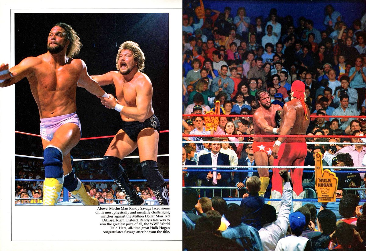 Profile of 'Macho Man' Randy Savage from WWF Superstars III magazine published in 1988. Diggit! ☝🏻 #WWF #WWE #Wrestling #RandySavage