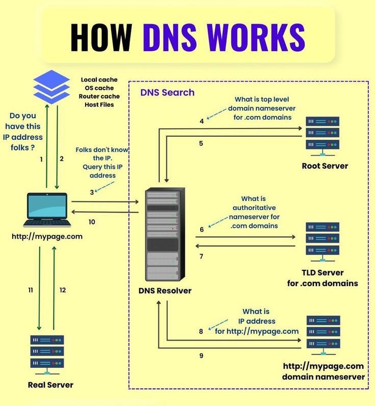 trickyhash's tweet image. This is How DNS Works!

#ethicalhacker #dns #computernetworking