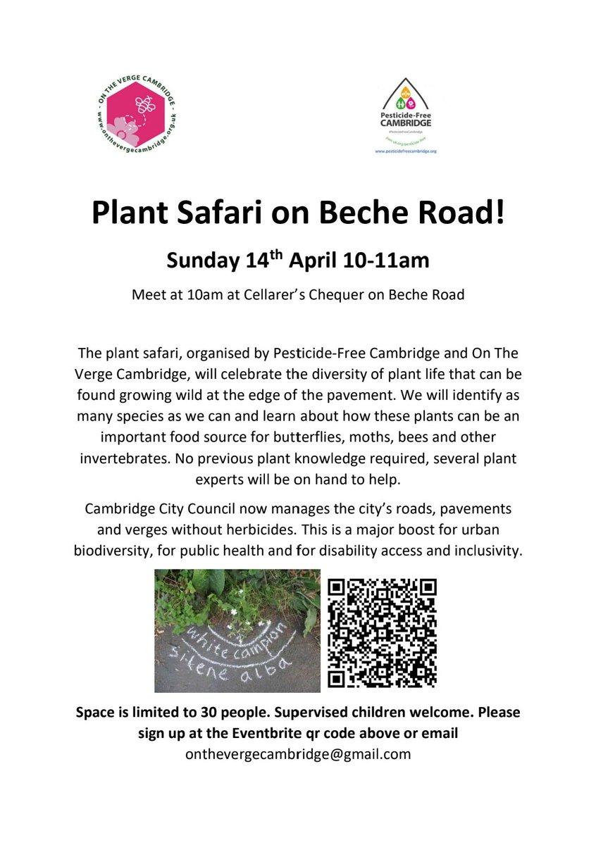 On The Verge Cambridge (@onthevergecambs) on Twitter photo Celebrate our herbicide-free flora! All welcome, do sign up via eventbrite link or email onthevergecambridge@gmail.com <a href="/PANUKPFC/">Pesticide-Free Cambridge</a> <a href="/bc_cambs_essex/">BC Cambs and Essex</a> <a href="/Cambsmoths/">Cambridgeshire Moths vc29</a> <a href="/Love_plants/">Plantlife</a> #pesticidefree #Cambridge Celebrate our herbicide-free flora! All welcome, do sign up via eventbrite link or email onthevergecambridge@gmail.com <a href="/PANUKPFC/">Pesticide-Free Cambridge</a> <a href="/bc_cambs_essex/">BC Cambs and Essex</a> <a href="/Cambsmoths/">Cambridgeshire Moths vc29</a> <a href="/Love_plants/">Plantlife</a> #pesticidefree #Cambridge