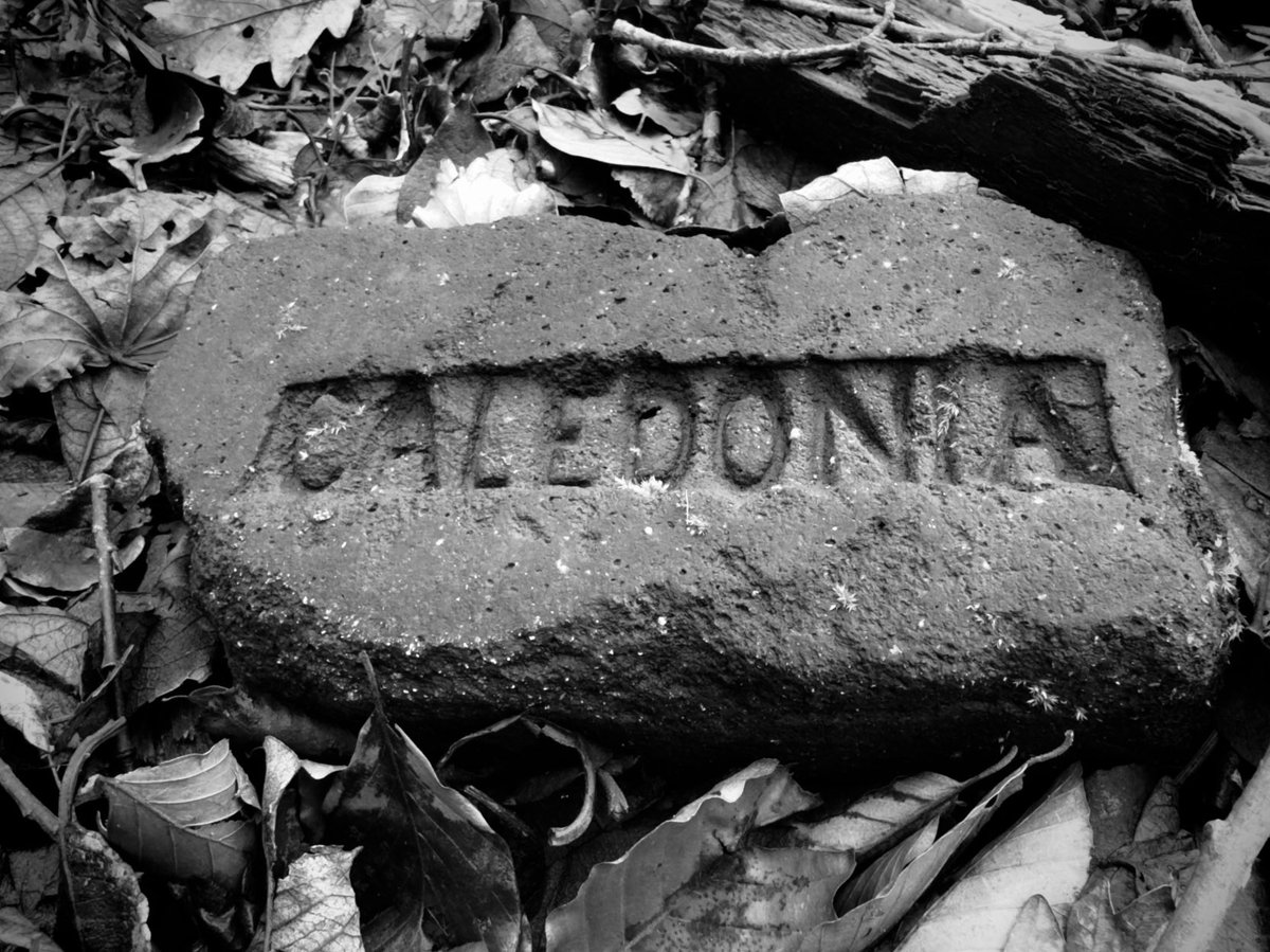 Caledonia you’re calling me and I’m going home. 
#Gallery365in2024Sundaymusic