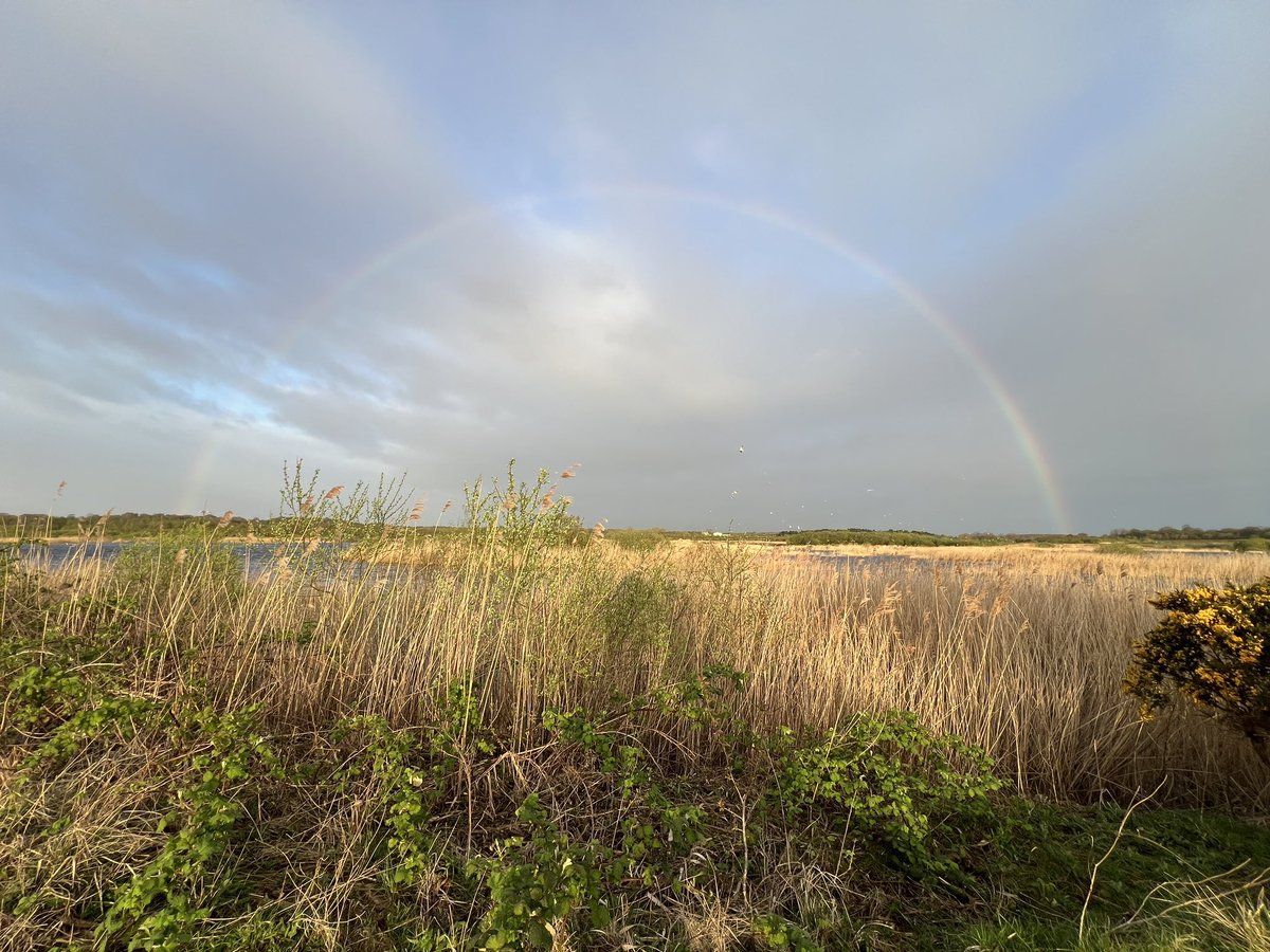 Sunrise rainbow - a wonderful start to a Sunday day off