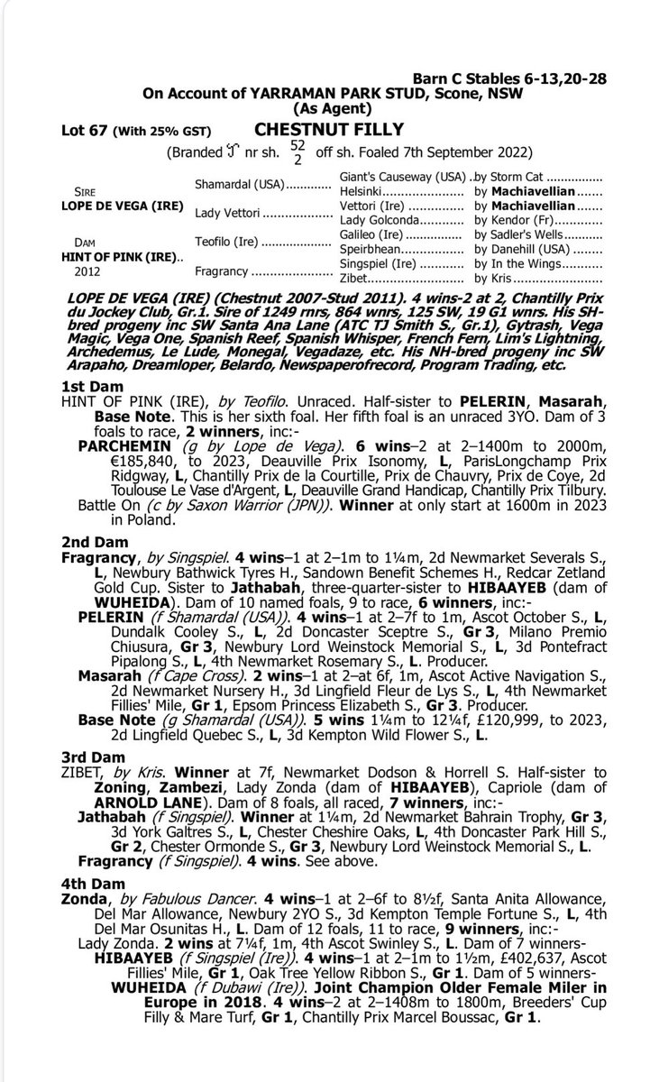 🇦🇺 LOPE DE VEGA filly sells for $425,000 at @inglis_sales Easter Yearling Sale to @jstewartrr's @rresoluteracing 🏇She is a full-sister to European Stakes winner Parchemin.