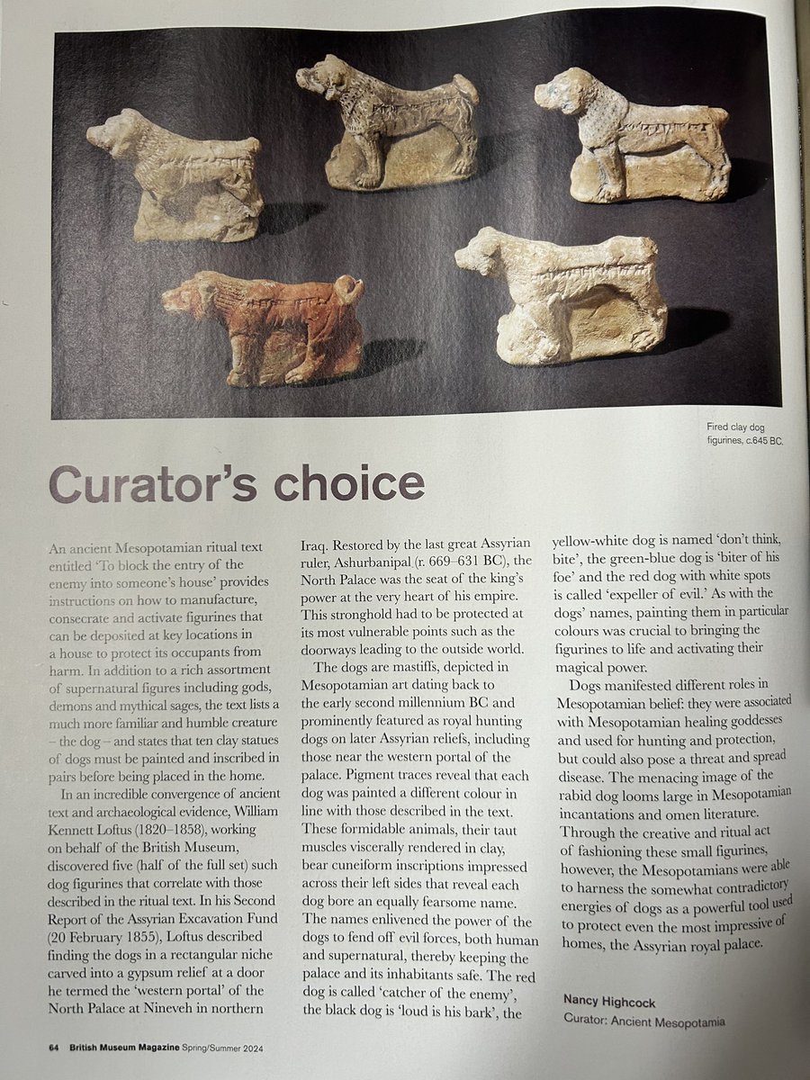 These Mesopotamian mastiffs are named “catcher of the enemy”, “loud is his bark”, “don’t think-bite”, “biter of his foe” & “expeller of evil”. Figurines like these were used to protect homes 2500 years ago! Now in @britishmuseum Article by Nancy Highcock in BM Magazine issue 108