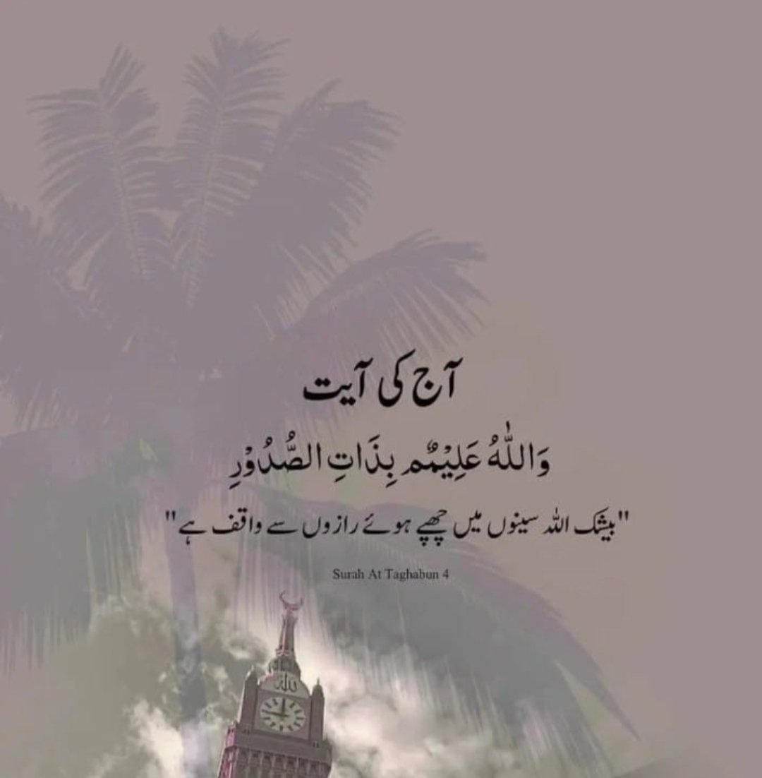 قرآن مجید کی تلاوت ہی کر لیں۔۔۔۔۔۔۔