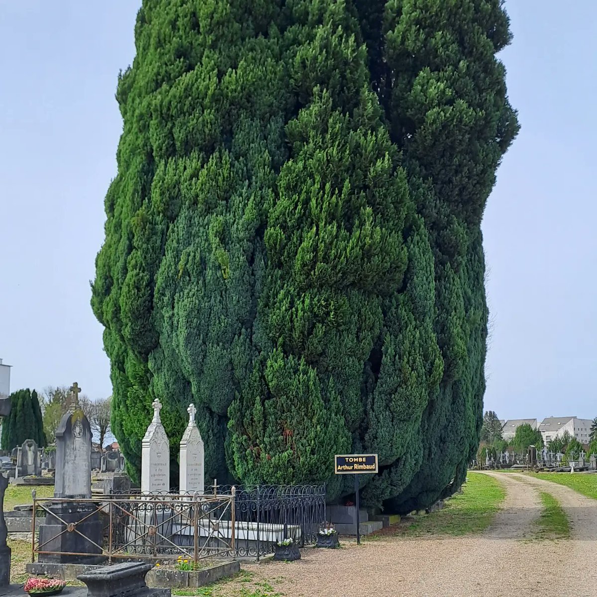 Arthur #Rimbaud's grave in Charleville-Mézières
