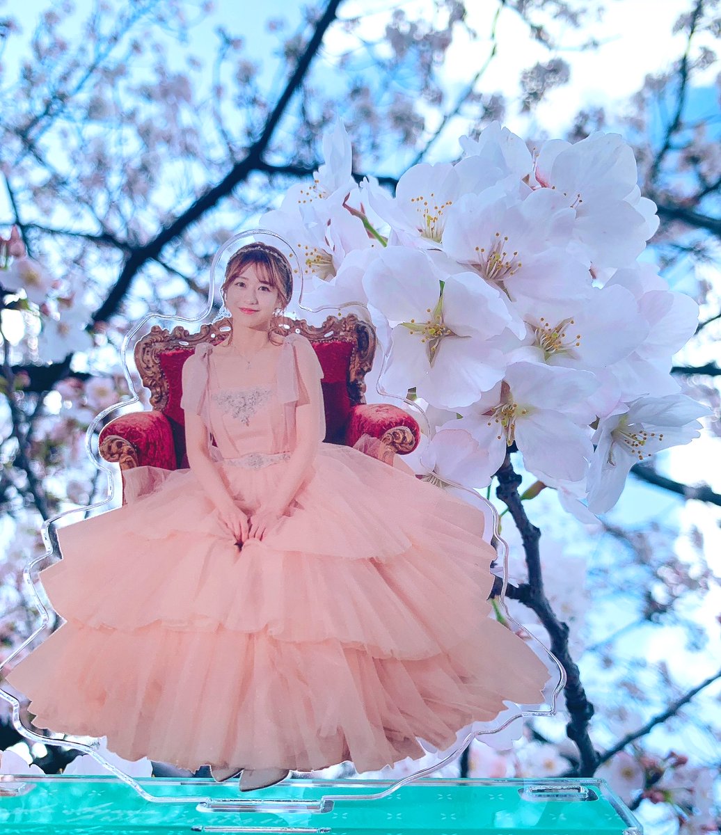 可愛いあやなん卒業ドレスアクスタ（座クスタ）と桜🌸背景🩷

#篠崎彩奈