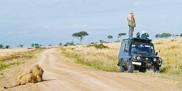 AdelAliBinAli's tweet image. "ما تبحث عنه ..
يبحث عنك"

- جلال الدين الرومي