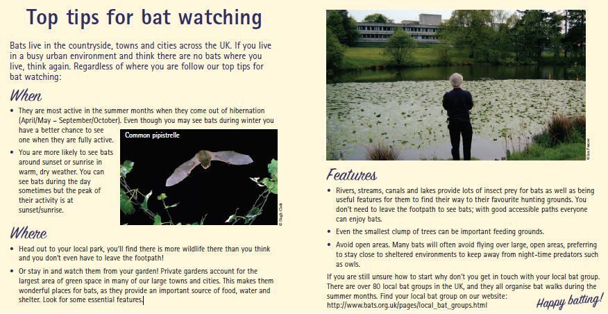 Spring is here! If you're wondering where to do some bat watching do check this page for some helpful tips: buff.ly/3HrOze8 . You could have bats right on your doorstep, you just need to know where/when to look