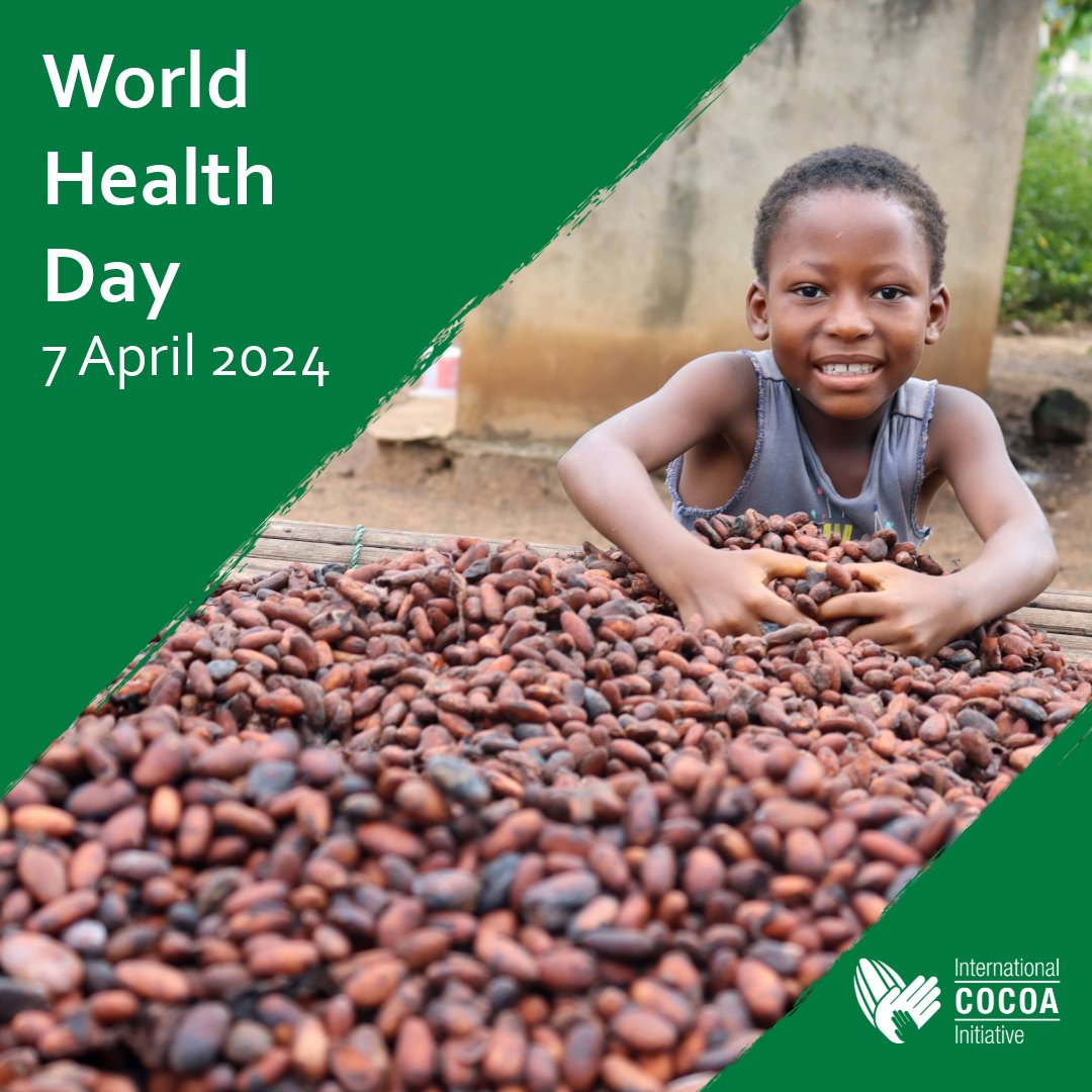 'My health, my right', this #WorldHealthDay we remember that health can be reliant on several factors. ICI's approach integrates various initiatives to target #cocoa communities at a holistic level, safeguarding child wellbeing & tackling #ChildLabour for healthy development.