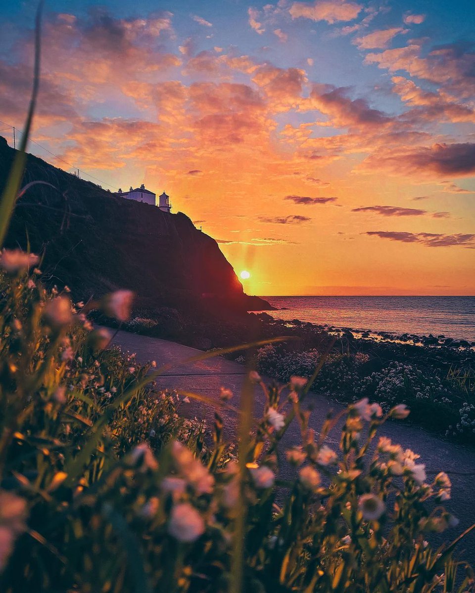 Spring has arrived on the island of Ireland, and each morning dawns a little bit brighter…☀️ 📍Blackhead Lighthouse, Co. Antrim 📸 instagram.com/padraigmallonp… #SpringInIreland #BlackheadLighthouse #DiscoverIreland #FillYourHeartWithIreland