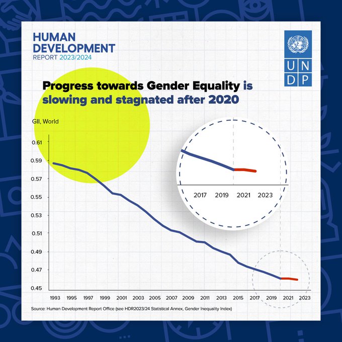 Since the #COVID19 pandemic, the global progress towards gender equality has stagnated, according to the latest analyses on #genderinequality from @UNDP’s new #HDR2024. 

Explore our data: report.hdr.undp.org