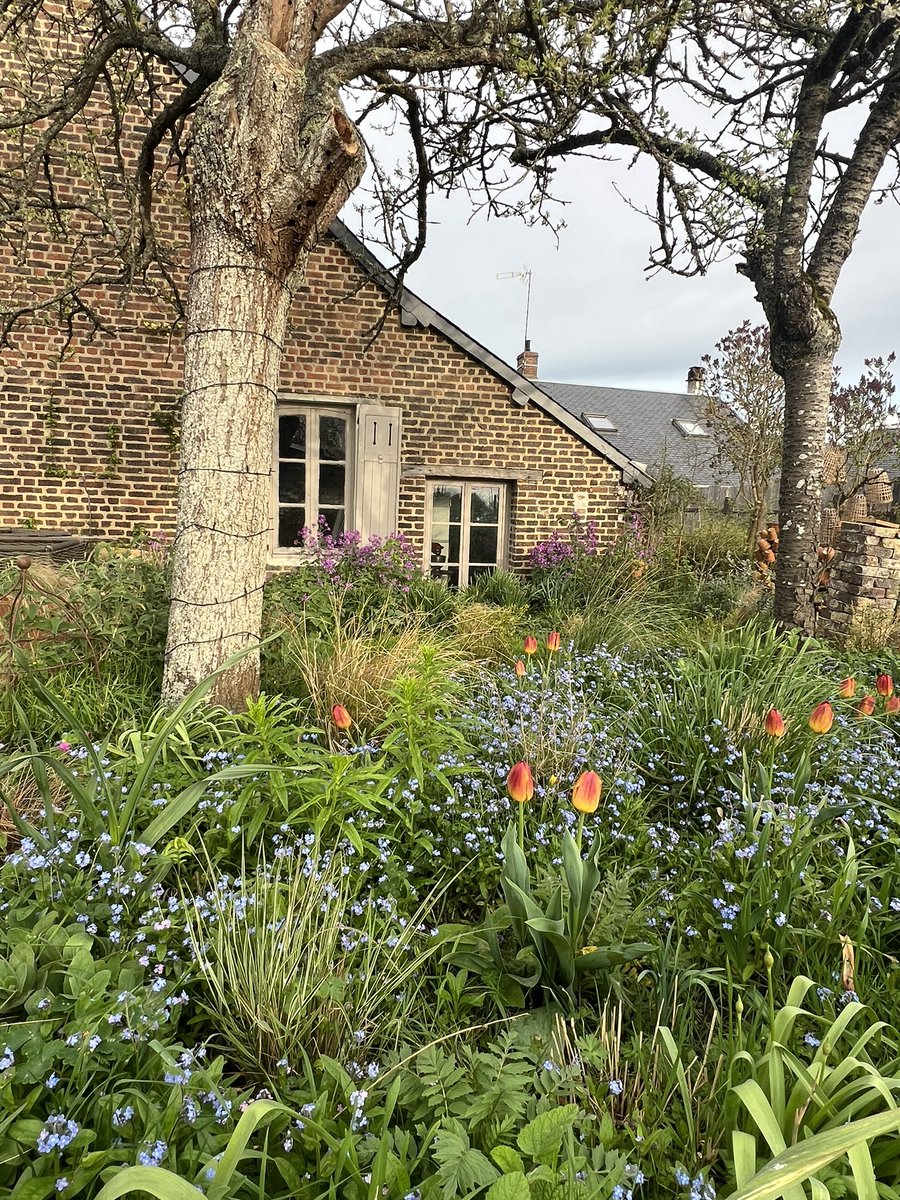 Little bit of blue and orange near the house.