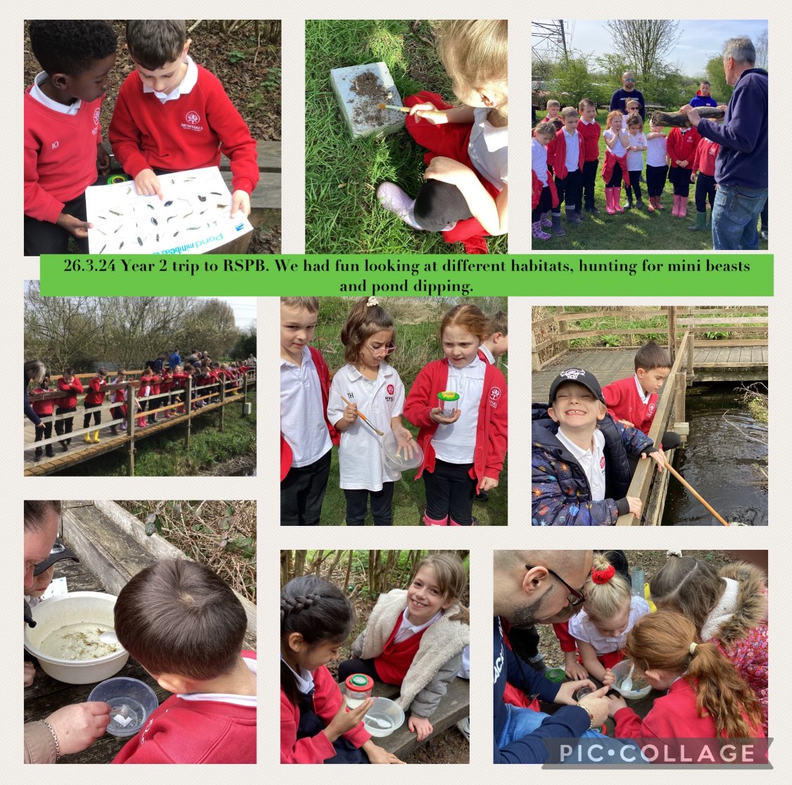 Year 2 enjoyed their trip to Rye Meads with RSPB. They had great fun searching for minibeasts and pond dipping 🐞