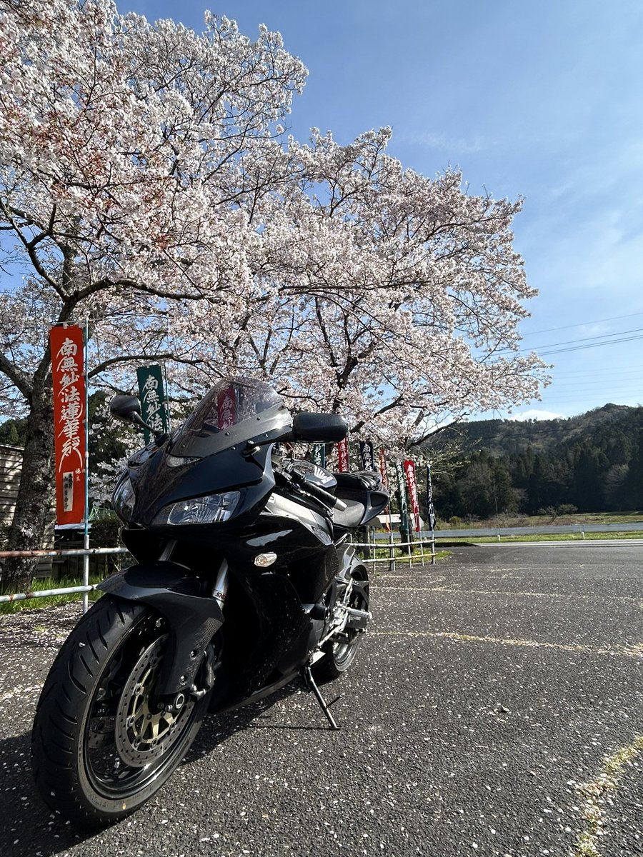 桜が綺麗でした(*^^*)

#岐阜市
#どこかその辺