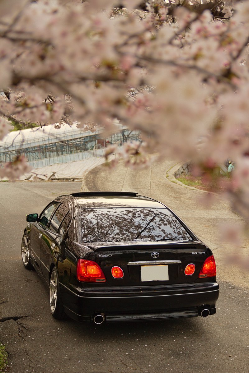 chaser12h's tweet photo. #桜と愛車
リアも雰囲気あって良き👍 https://t.co/A721WDhUSG
