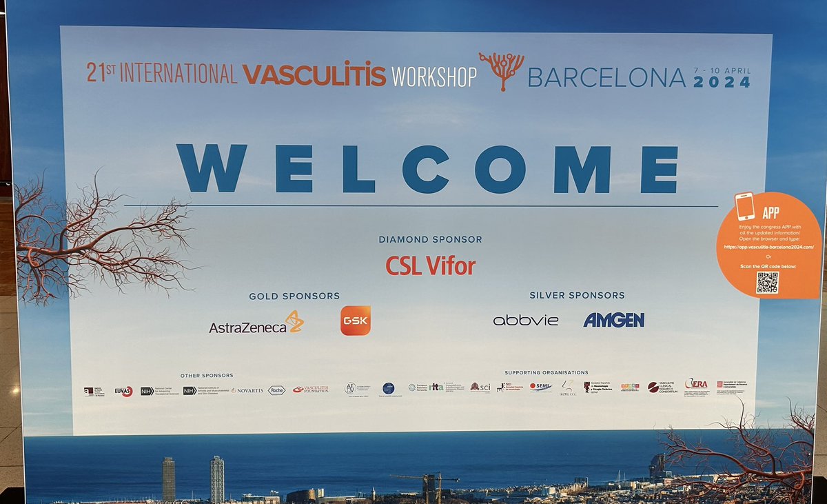 We have started 💥 VASCULITIS 2024 Barcelona 🇪🇸😎 Investigators meeting prior to the main programme #VasculitisBCN2024 @stephenmcadoo @TYoungstein @Profcpusey @Maria_Prend @ImperialNHLI @ImperialImmuno @vascuk