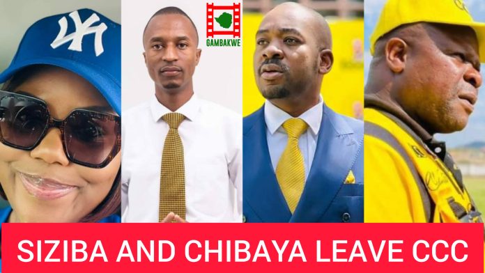 MulakazuvaL's tweet photo. [Frame(1)] is better than [Frame(2)]
☆Ideologically
☆Maturity
☆Democracy 
☆Transparency
☆Constitutionalism
☆Plus Kurongeka☆
#ZANUPFMustGoOn>>>@CadreShangrila
@PeterMupondi @TafadzwaSherph1 @DrStephenChan @ProfJNMoyo @sonofsadaar @TafadzwaMugwadi @JonesMusara 
@BeaConde11 https://t.co/nWMRoNdSHp