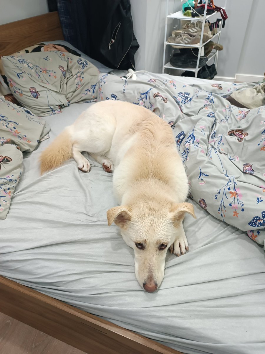 Дождевой червь, которого мы любим