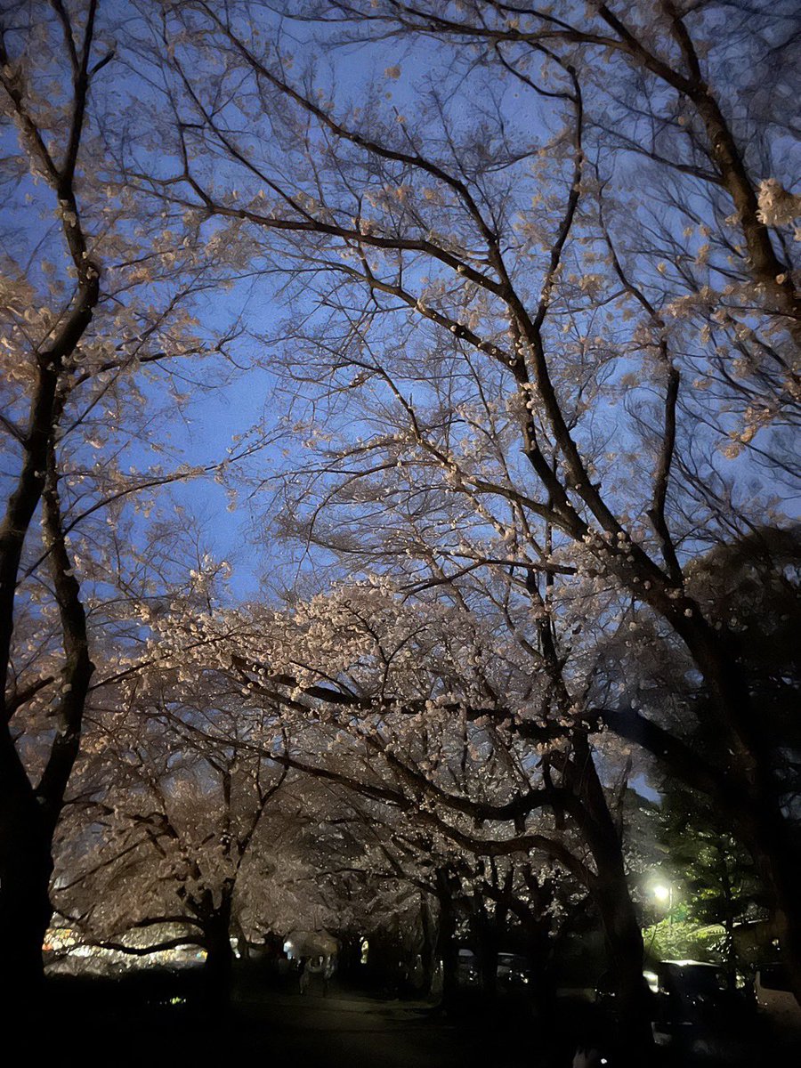 heliumgam's tweet photo. きれい https://t.co/3gzrqyC3db