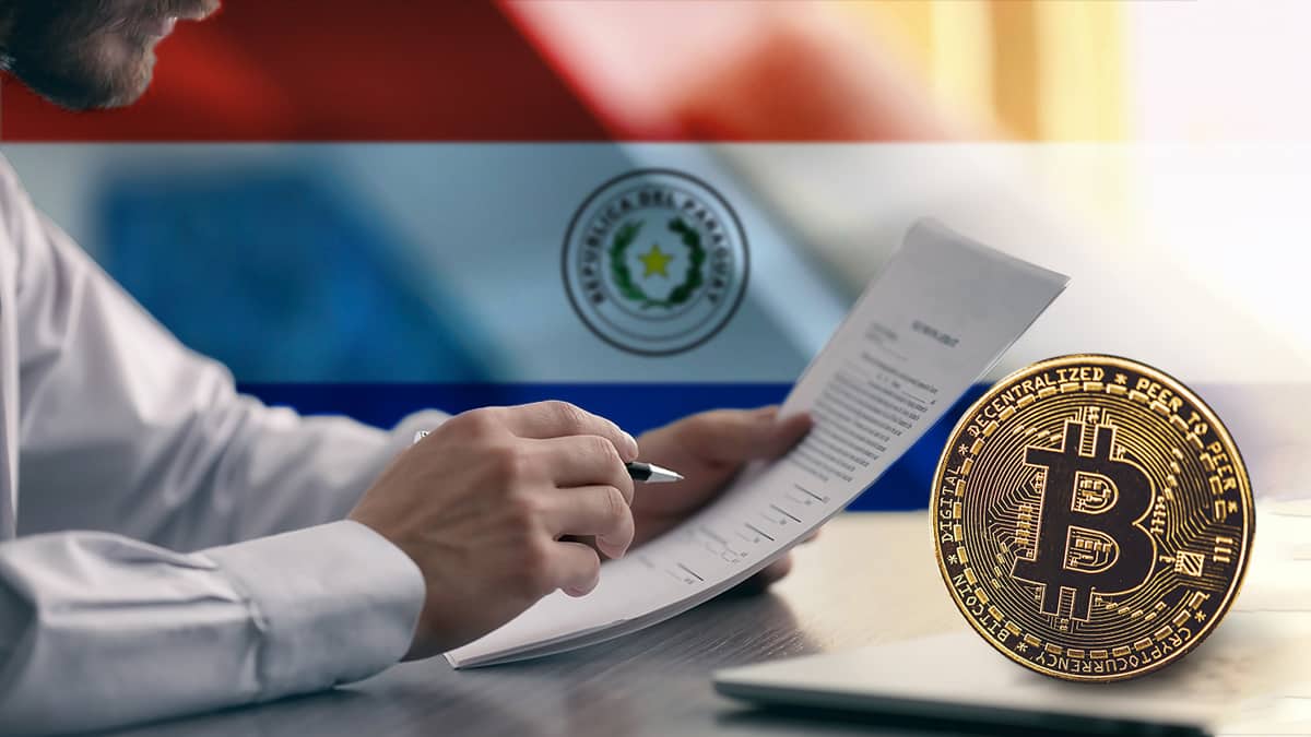 Bitcoin España tweet media