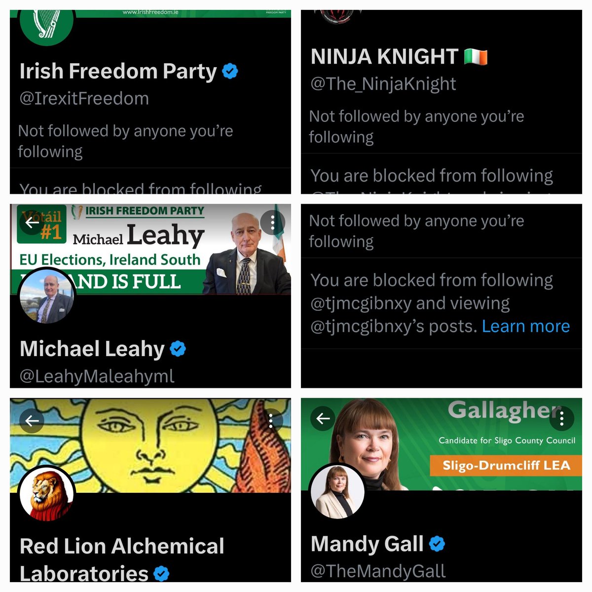 Recent badges of honour, many are far right racist bullies who can give it but they can't take it 🤷 themselves. #irelandisnotfull #irelandagainstracism #gobshite