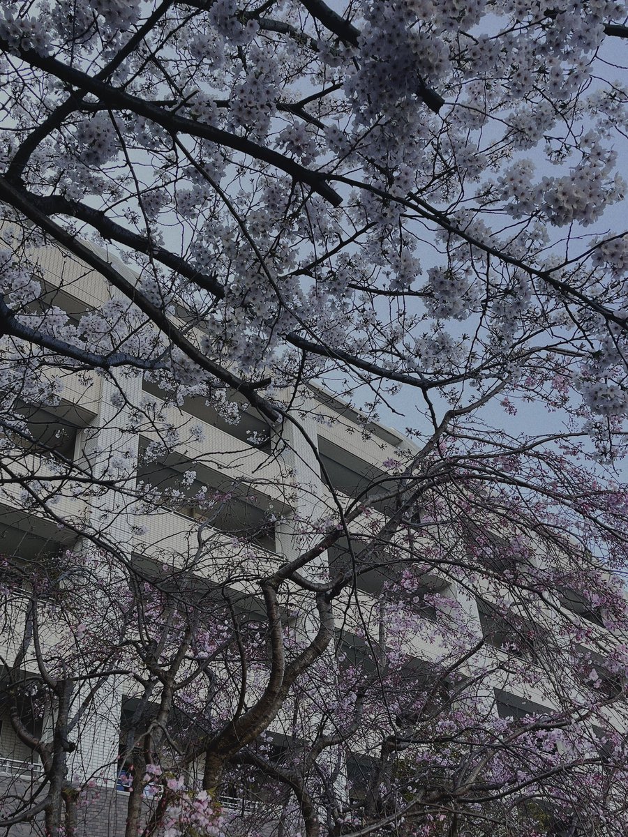 白昼夢みたいな日