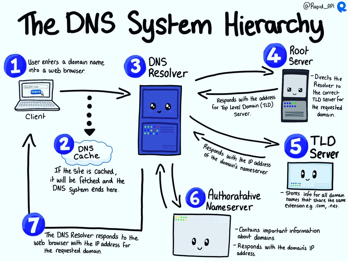 THE DNS SYSTEM HIERARCHY